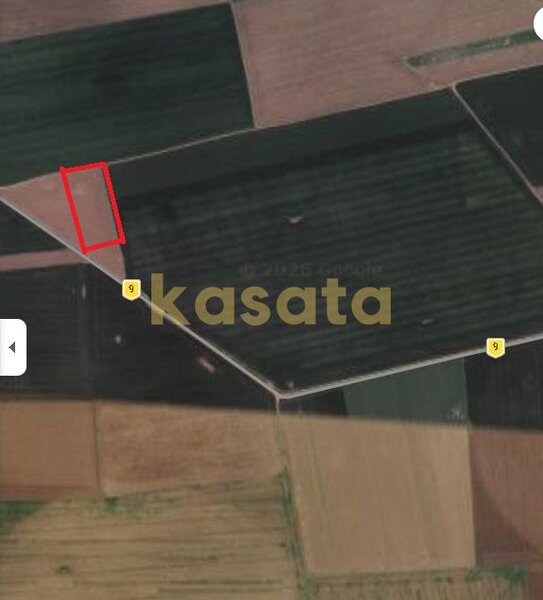 Teren agricol 23.000 mp – 2 Mai, Constanta | Deschidere dubla la drum